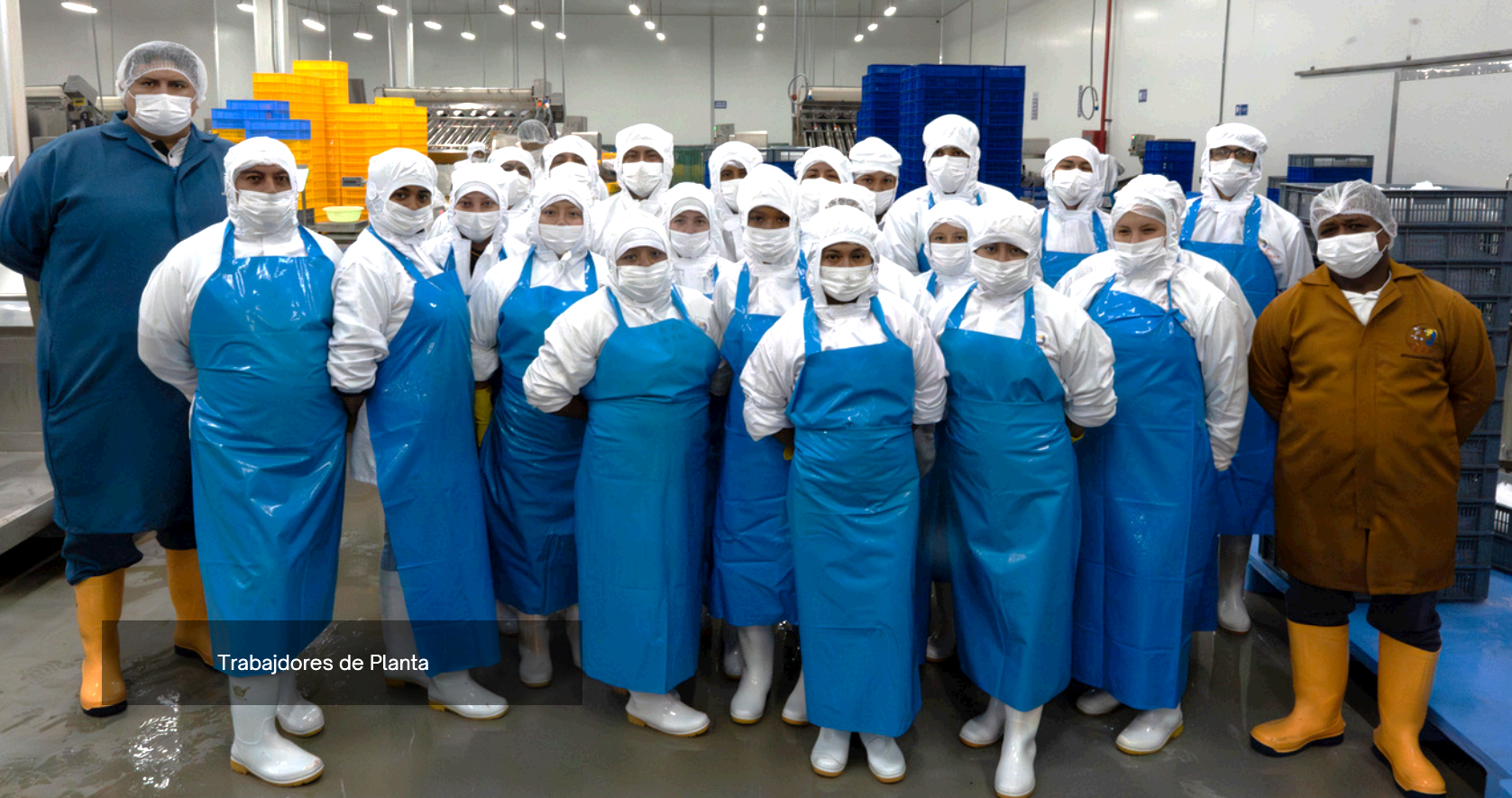 Equipo de planta de Ecuamarisco